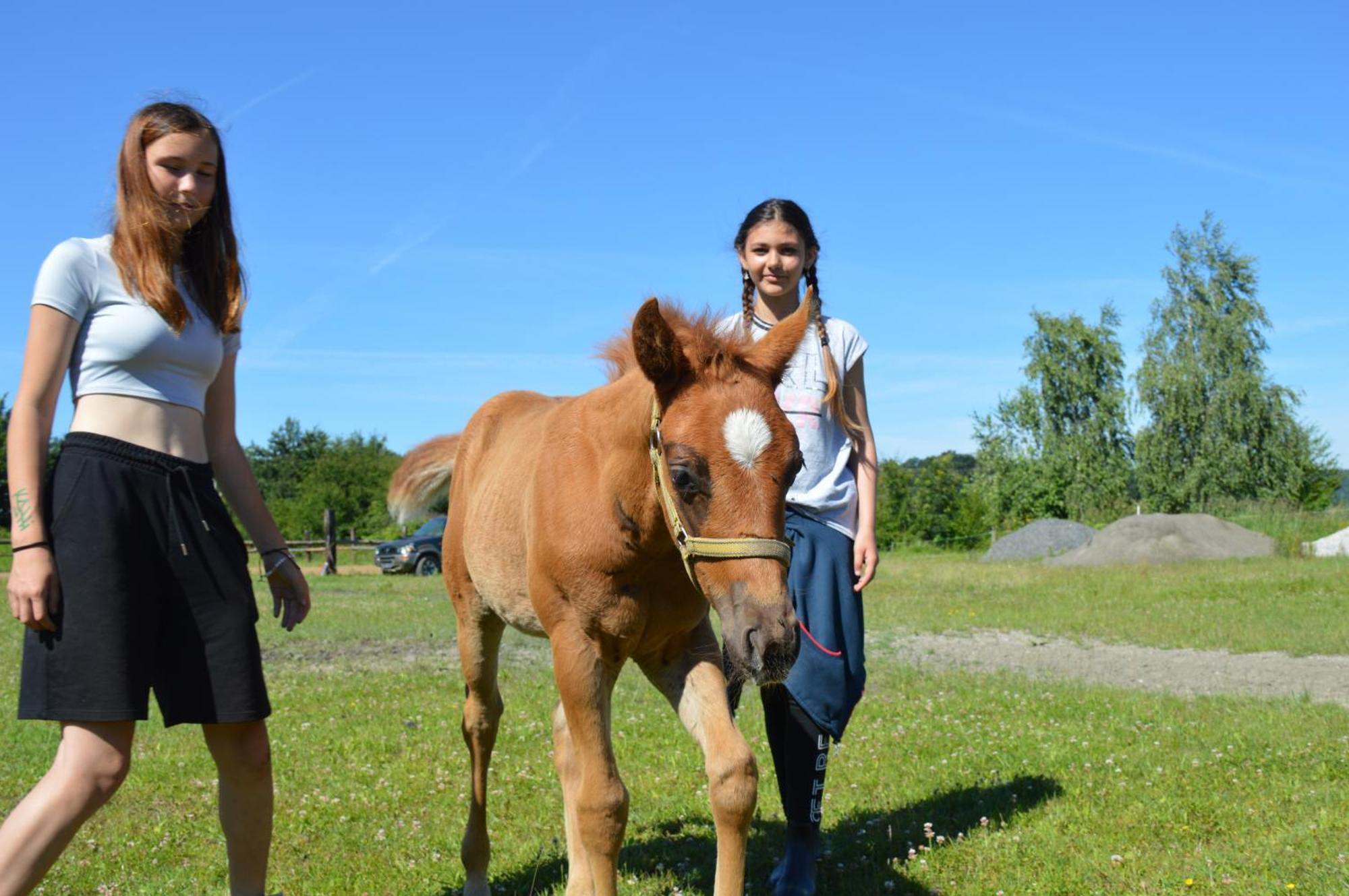 Apartmán Bubla Ranch Kopřivnice