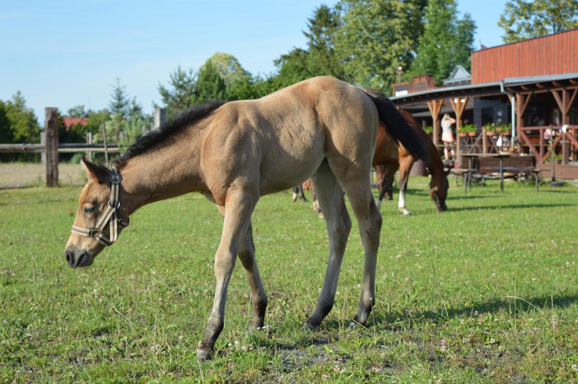Bubla Ranch *