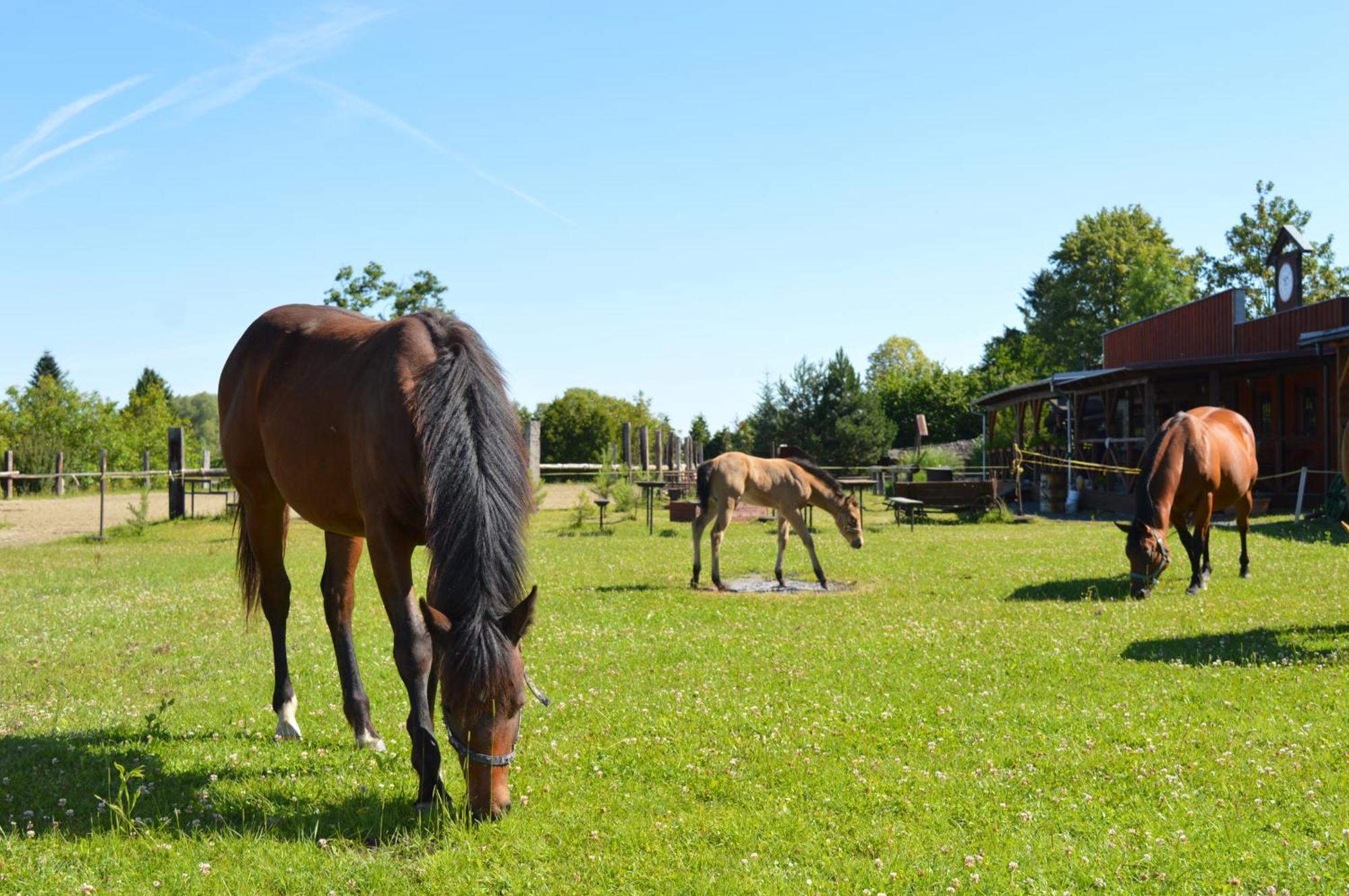 Bubla Ranch